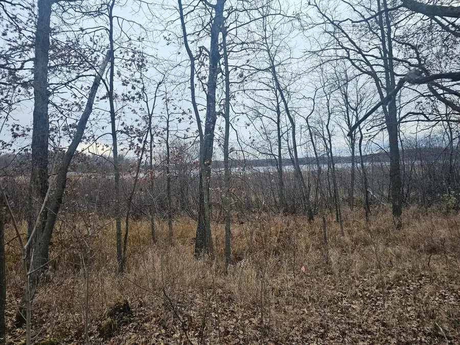 TBD County Road 30, Aitkin, MN 56431 - #2