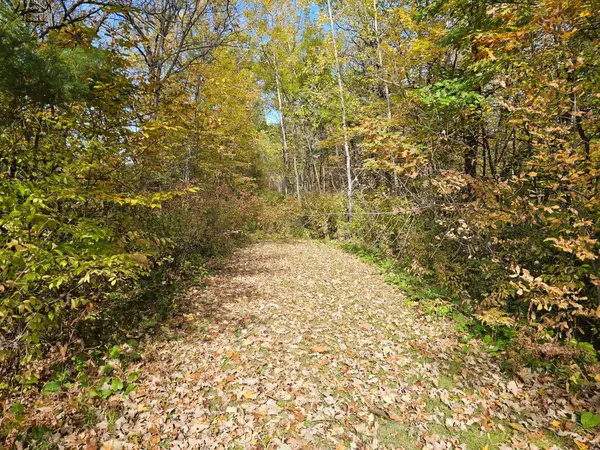 TBD Lot 1 Bunny Lane, Crosby, MN 56441