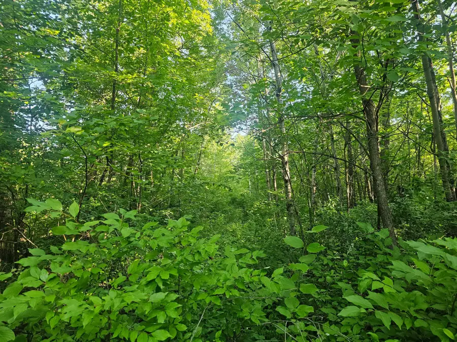 TBD Lot 1 Bunny Lane, Crosby, MN 56441 - #3