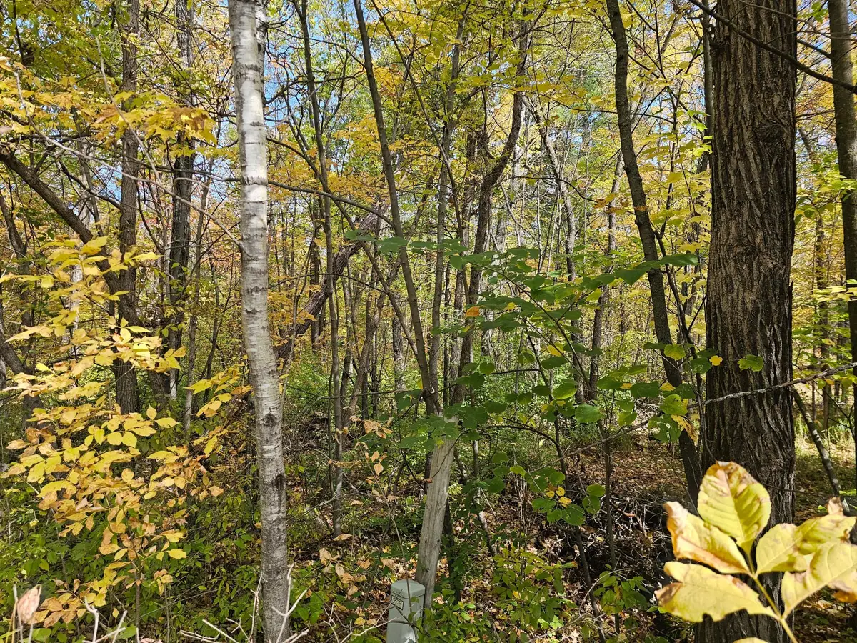TBD Lot 2 Bunny Lane, Crosby, MN 56441 - #1