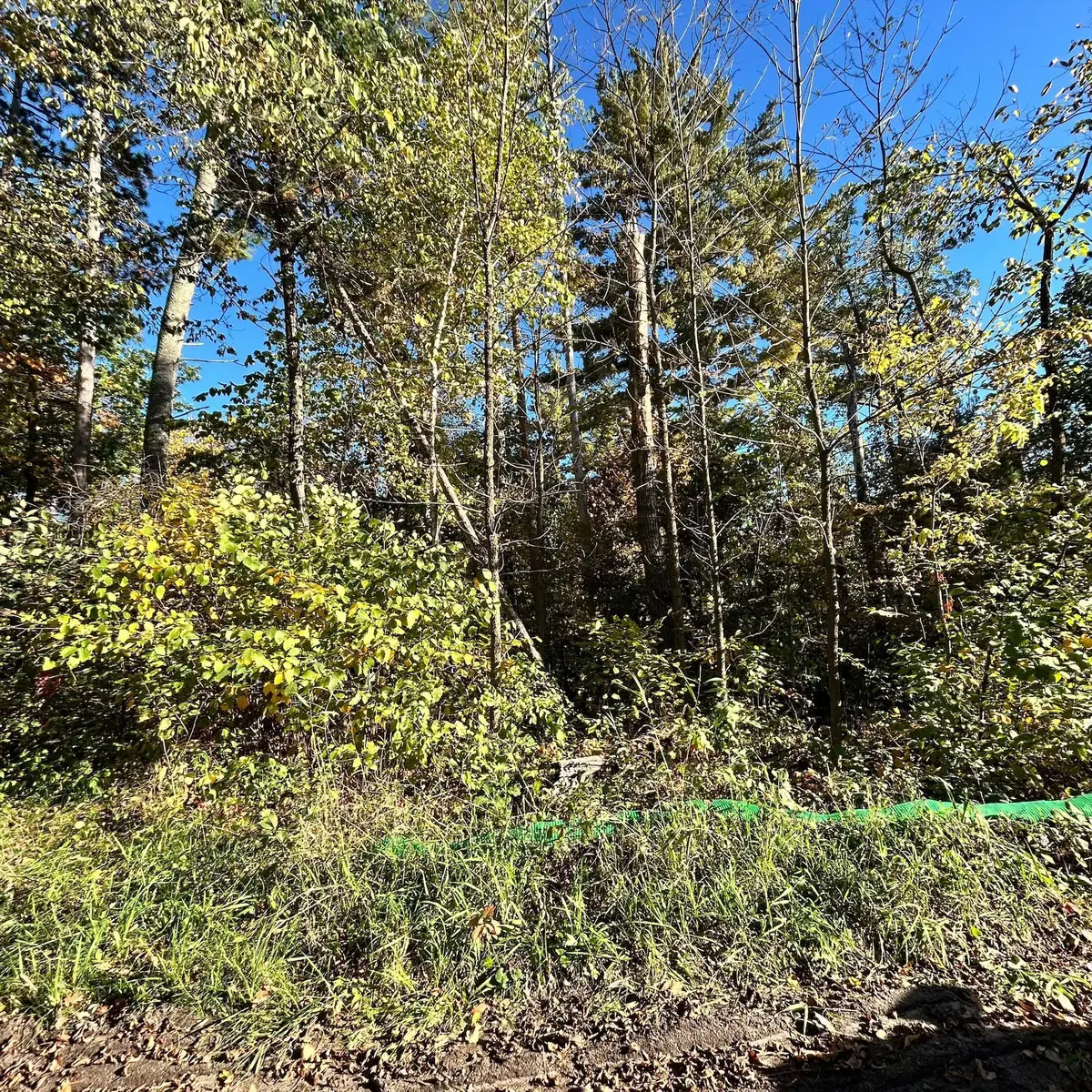 TBD Edna Lake Road, Nisswa, MN 56468 - #1