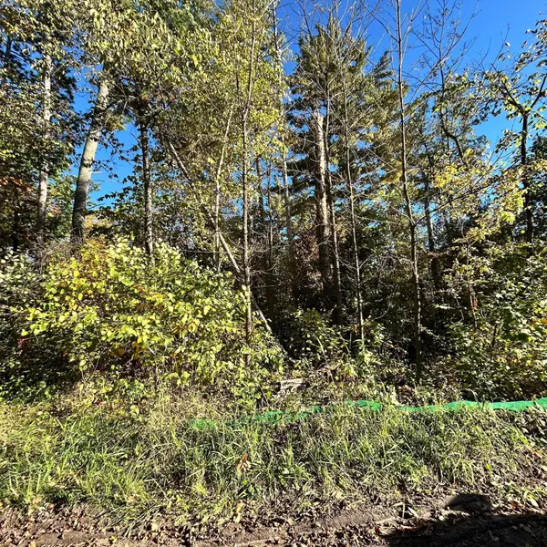 TBD Edna Lake Road, Nisswa, MN 56468