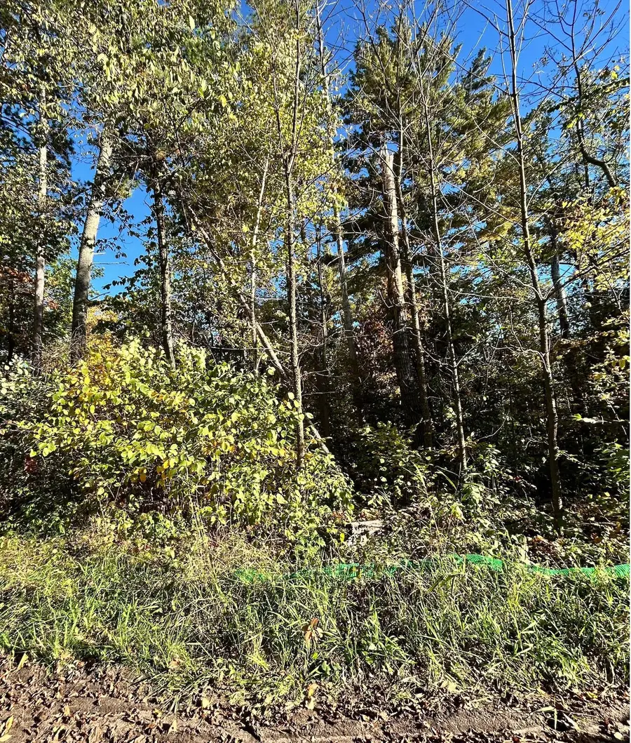 TBD Edna Lake Road, Nisswa, MN 56468 - #2
