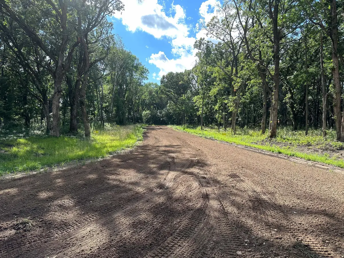 Lot C Norwood Lane, Battle Lake, MN 56515 - #1
