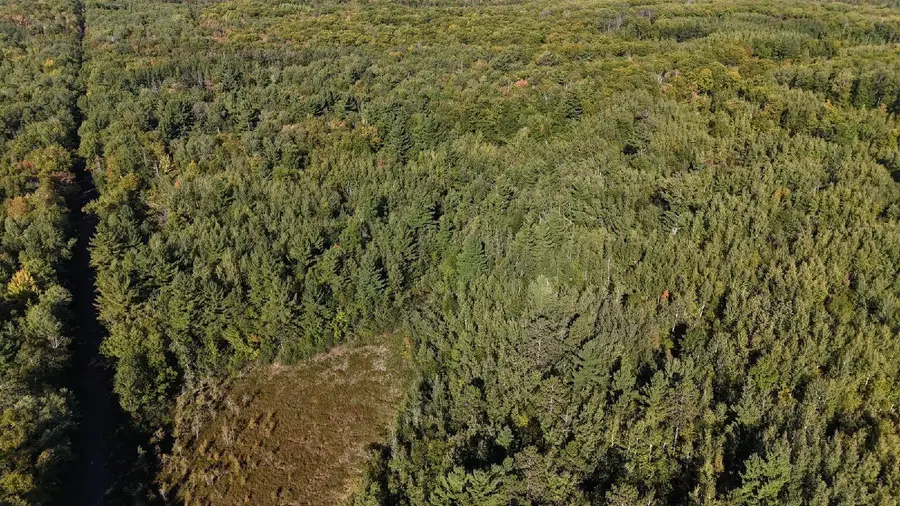 TBD Estates, Kerrick, MN 55756 - #3