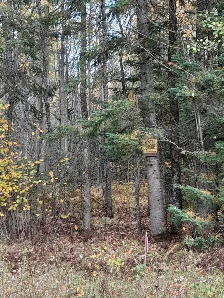 47624 Bowstring C, Deer River, MN 56636 - #3