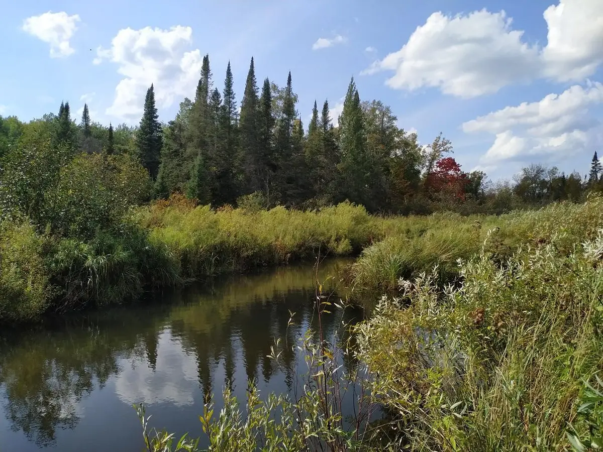 56723 Duncan Road, Sandstone, MN 55072 - #1