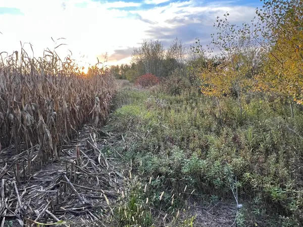 0000 Holly Rd, Pine City, MN 55063
