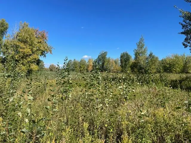 TBD 471st Ln, McGregor, MN 55760 - #3