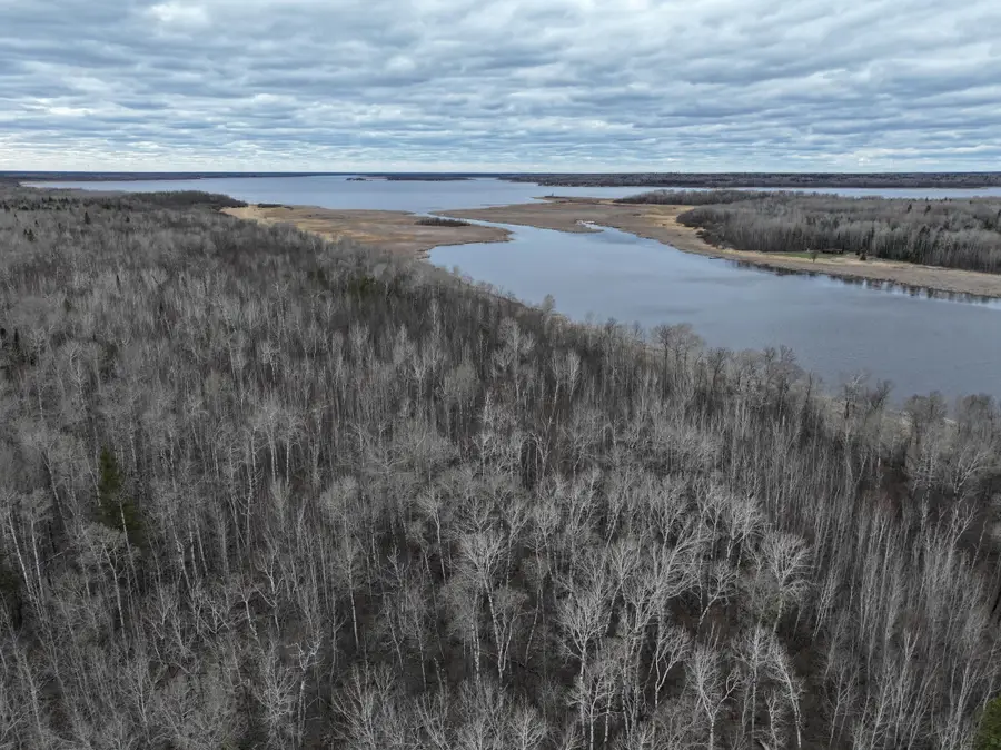 050 Youngs Bay Drive, Angle Inlet, MN 56711 - #3