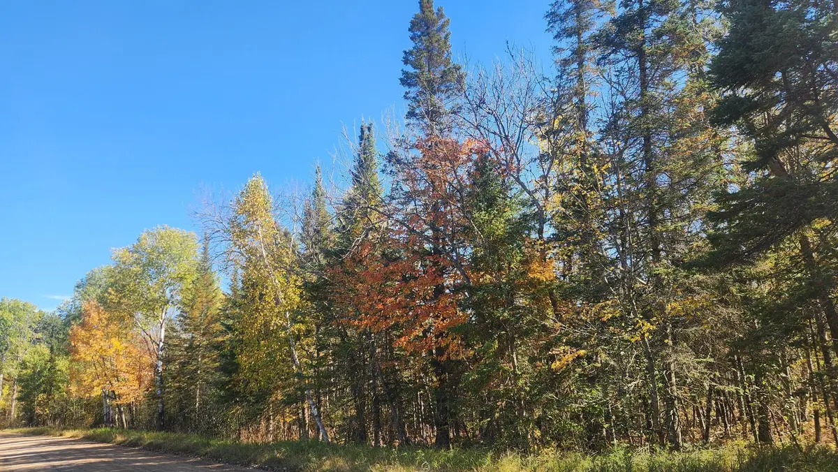 TBD County Road 55 Road Ne, Remer, MN 56672 - #1