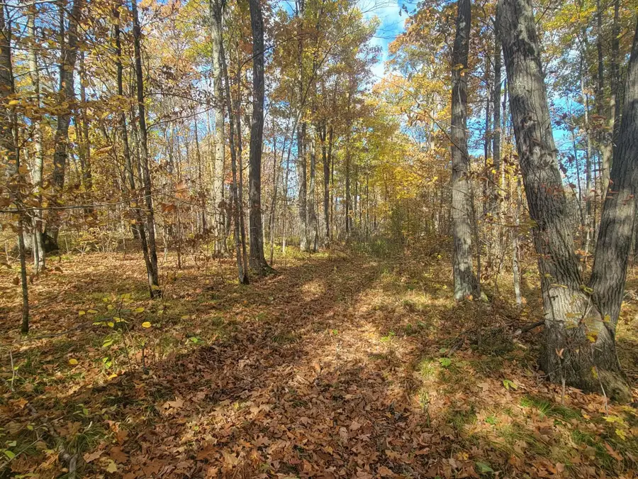 32147 30th Avenue, Isle, MN 56342 - #3