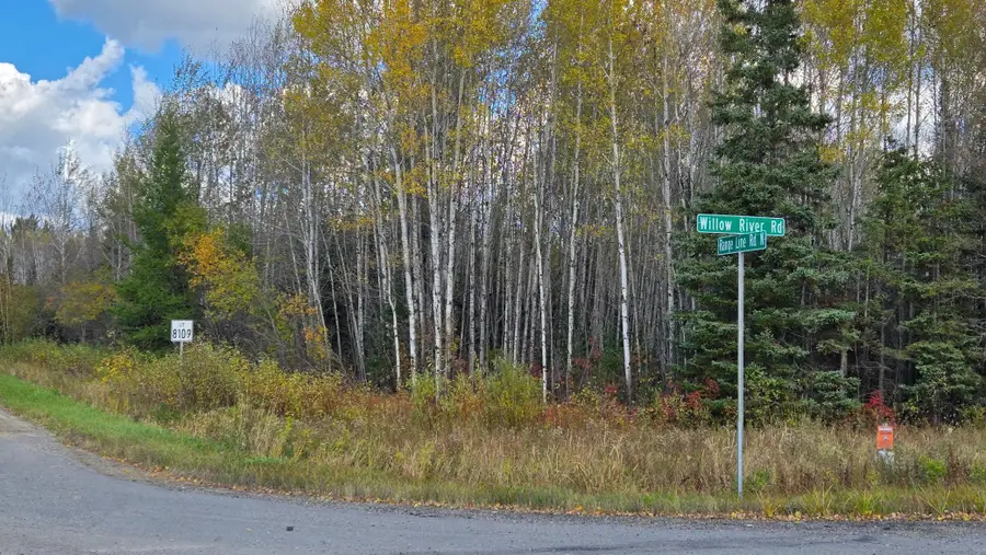 TBD 28.9 Rangeline Road, Orr, MN 55771 - #3