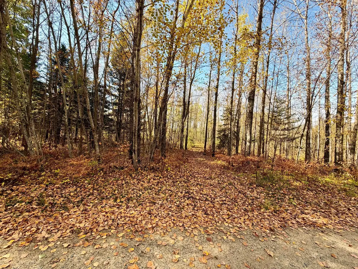 TBD County Road 303, Deer River, MN 56636 - #1