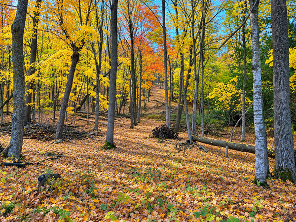 Lot 7 County Rd 39 Ne, Longville, MN 56655