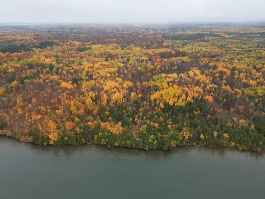 Lot 8 County Rd 39 Ne, Longville, MN 56655 - #3