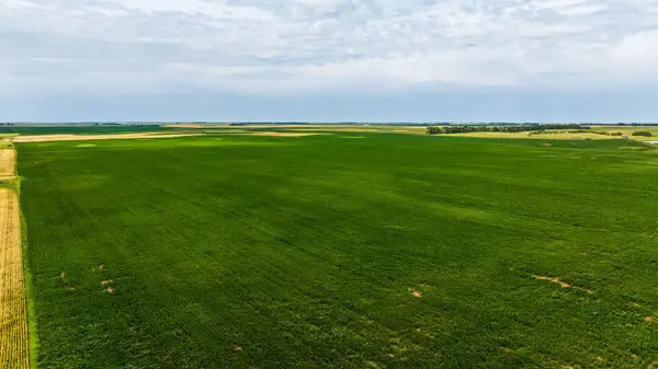 tbd 98 St Ne Lot 2, Bottineau, ND 58318