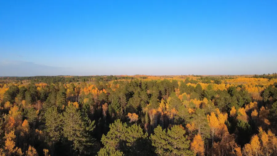 TBD40 Highway 135 N, Tower, MN 55790 - #3