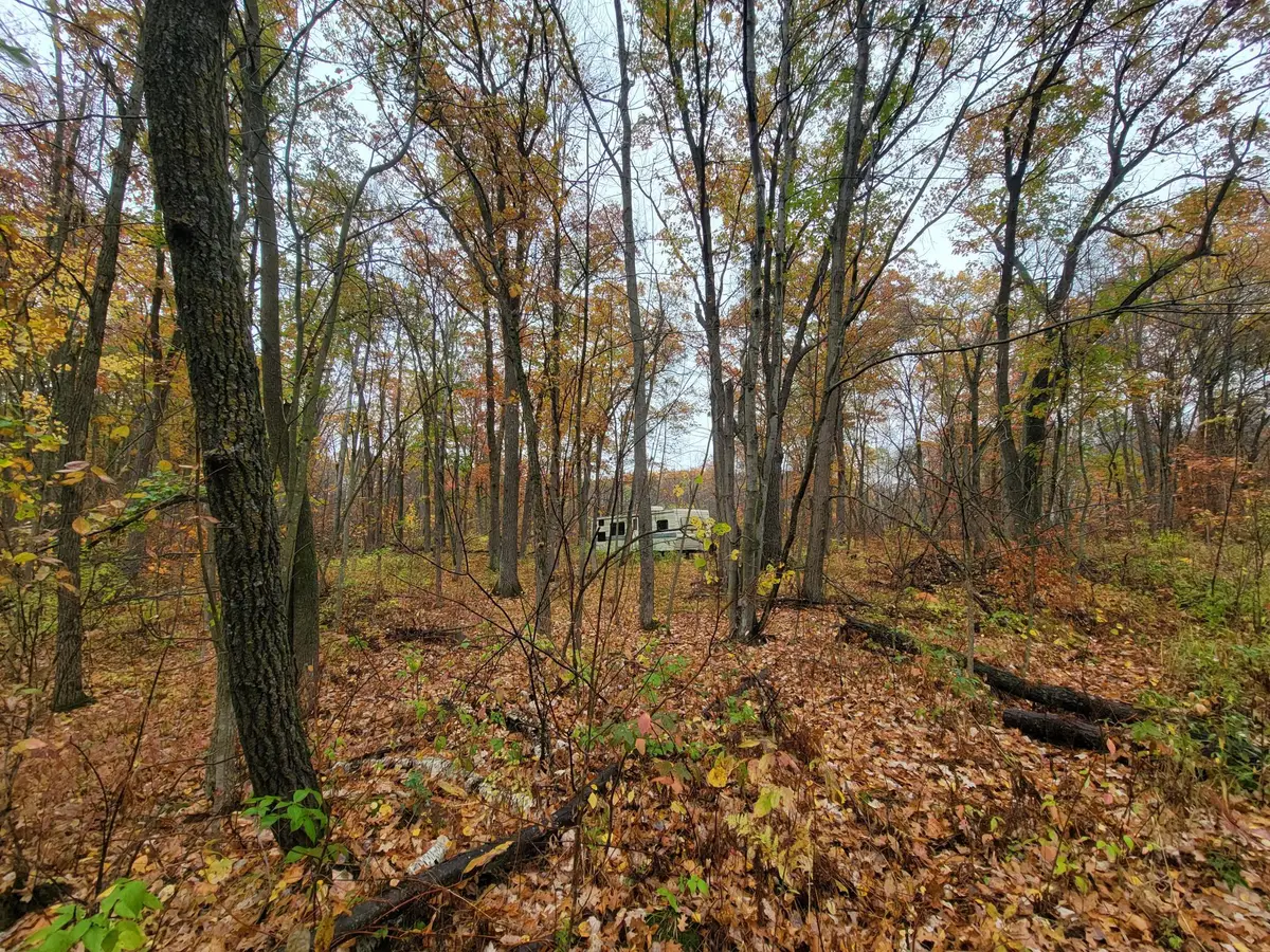TBD Lost Lake Trail, Cushing, MN 56475 - #1