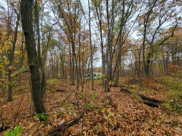 TBD Lost Lake Trail, Cushing, MN 56475