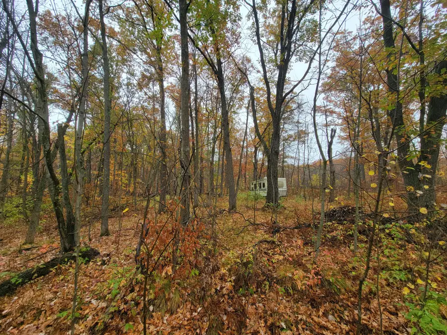 TBD Lost Lake Trail, Cushing, MN 56475 - #2