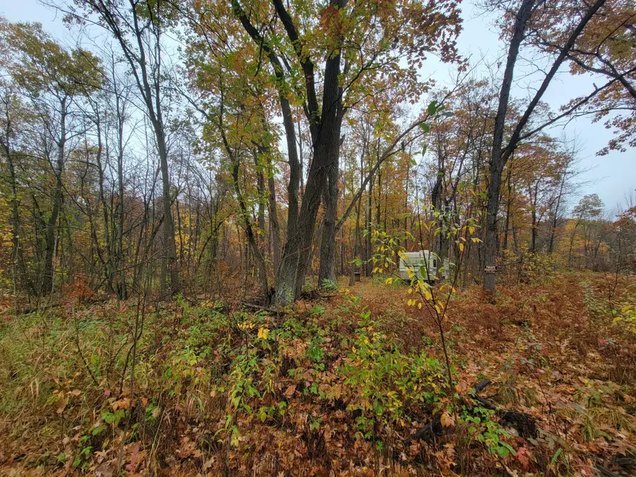 TBD Lost Lake Trail, Cushing, MN 56475 - #3