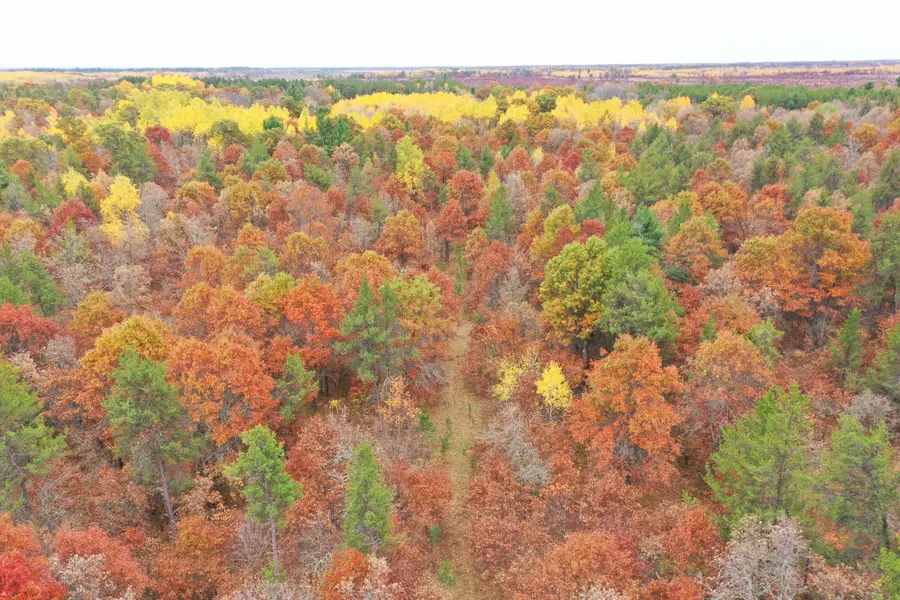 XXX Volkmann Lane, Grantsburg, WI 54840 - #3