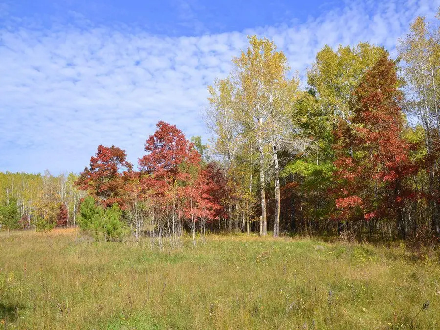 XXX Grant Street, Park Rapids, MN 56470 - #2