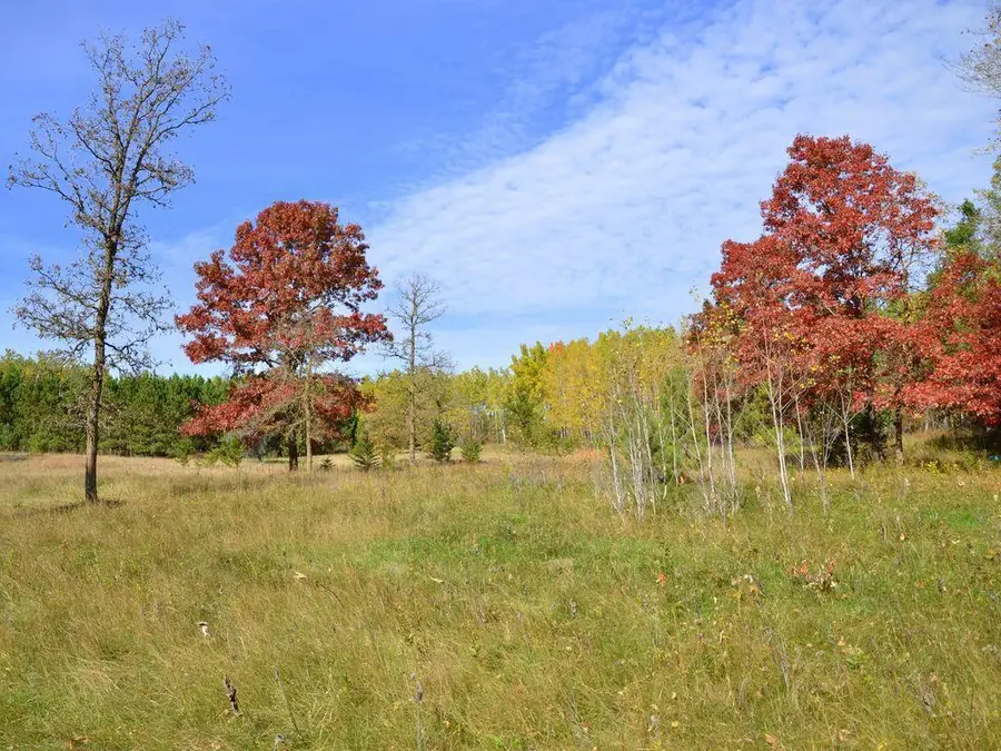 XXX Grant Street, Park Rapids, MN 56470 - #3