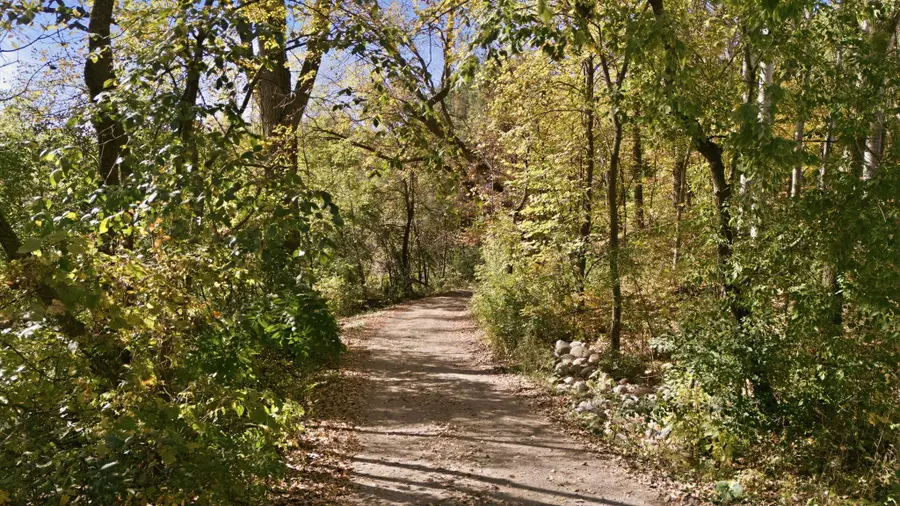 17639 Raymond Ave, Richmond, MN 56368 - #3