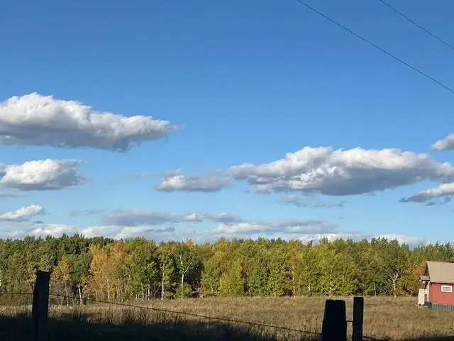 19212 Stockyard Road, Bagley, MN 56621 - #3