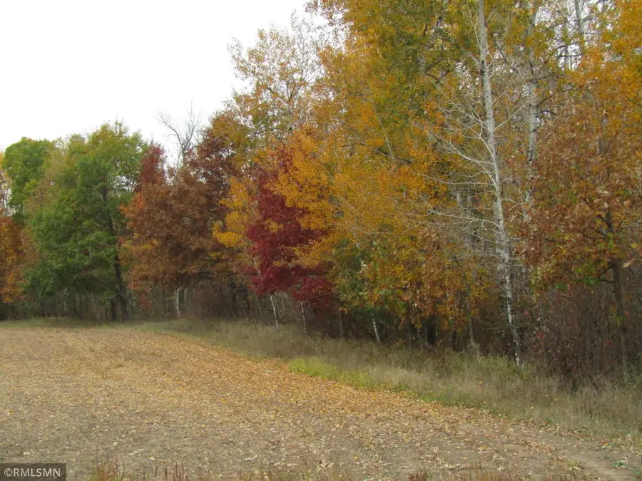 xxxxx Holly Road, Pine City, MN 55063 - #3