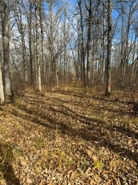 68781 Duxbury Road, Sandstone, MN 55072 - #2