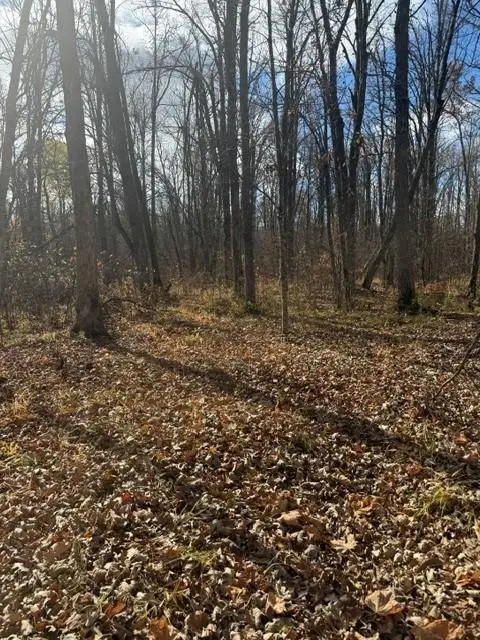 68781 Duxbury Road, Sandstone, MN 55072 - #3