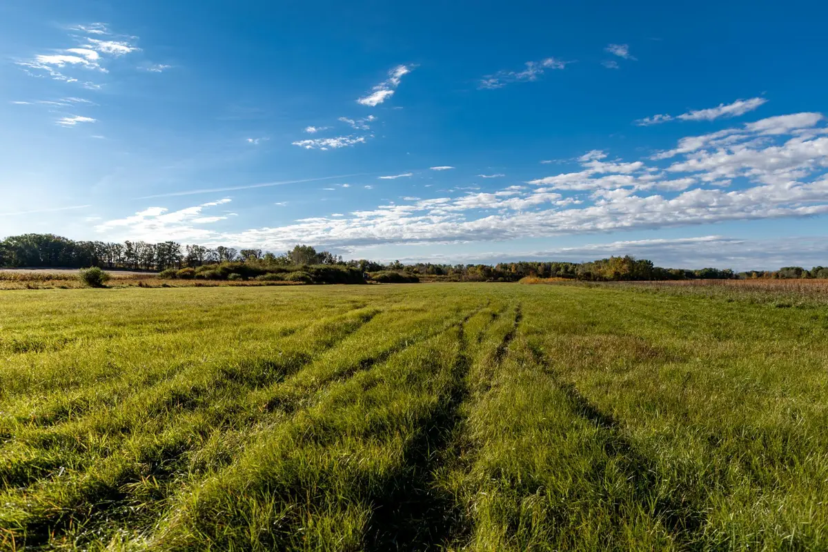 TBD 231st Avenue, Browerville, MN 56438 - #1