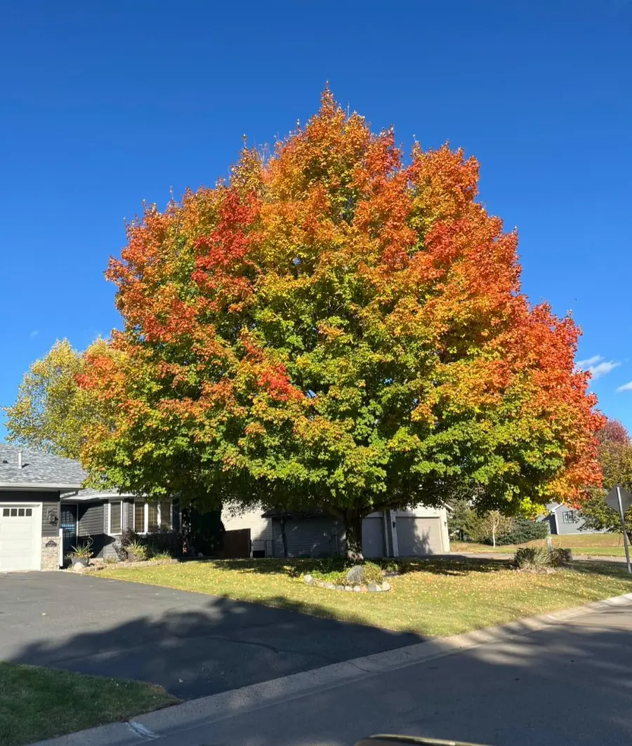 4153 146th Avenue Nw, Andover, MN 55304 - #2