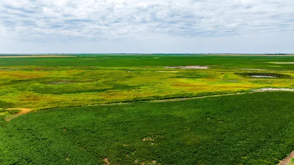TBD 98 St Ne Lot 3, Bottineau, ND 58318