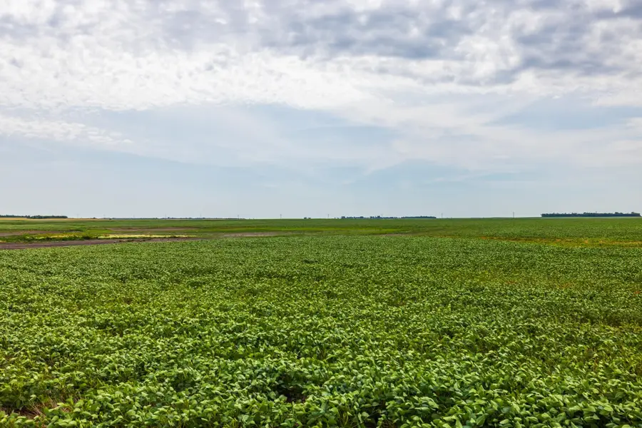 TBD 98 St Ne Lot 3, Bottineau, ND 58318 - #3