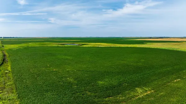 TBD 98 St Ne Lot 1, Bottineau, ND 58318