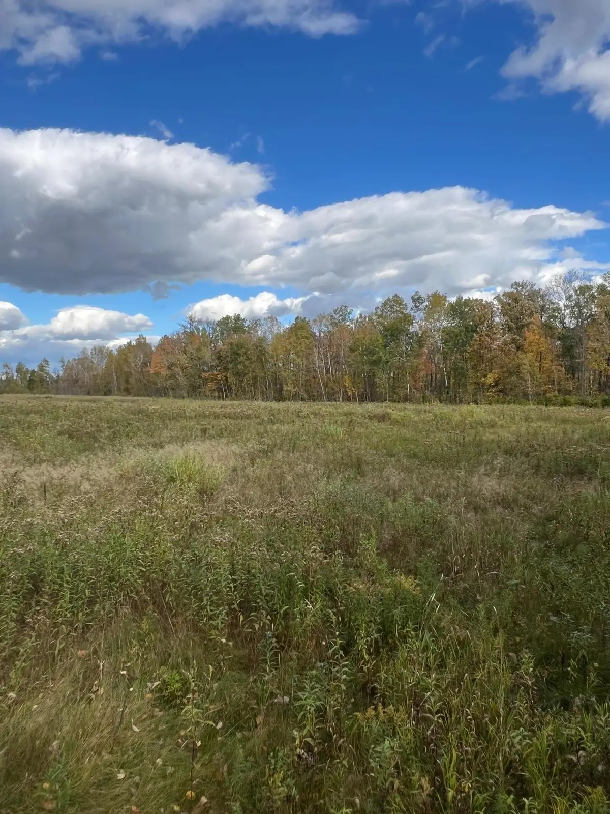 TBD County Rd 1, Emily, MN 56447 - #1