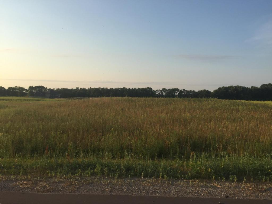 8354 169th Avenue Ne, Forest Lake, MN 55025 - #2