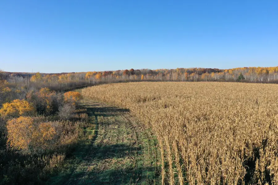36963 Skyview Road, Hillman, MN 56338 - #2
