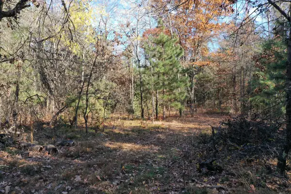 Lot 2 Spaulding Road, Grantsburg, WI 54840