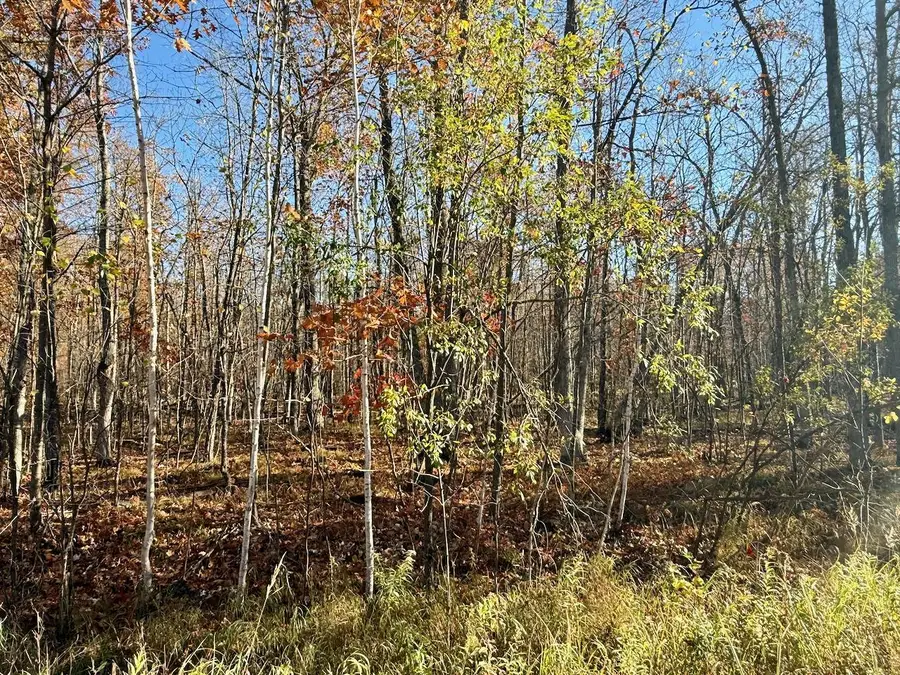 82052 Schoumaker Road, Willow River, MN 55795 - #2