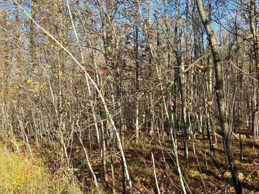 82052 Schoumaker Road, Willow River, MN 55795 - #3
