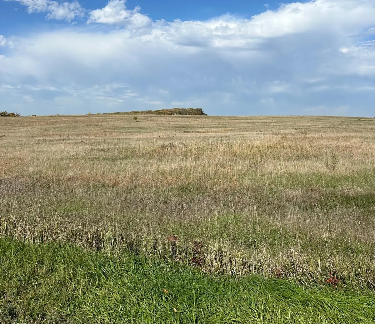 TBD County Highway 1 Highway, Lake Park, MN 56554 - #1