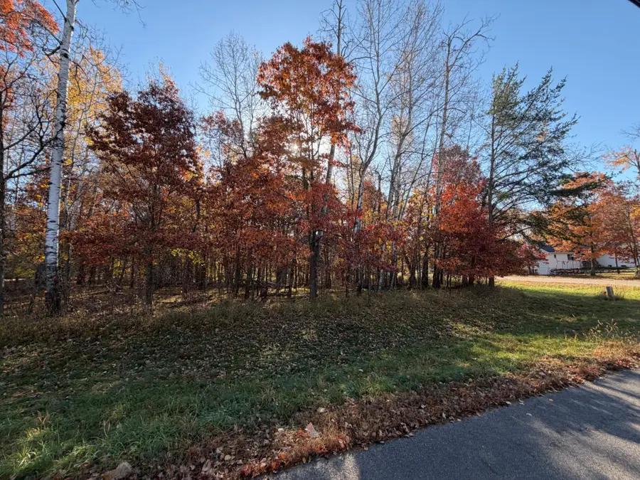 L1 B3 Paper Birch Drive, Baxter, MN 56425 - #2