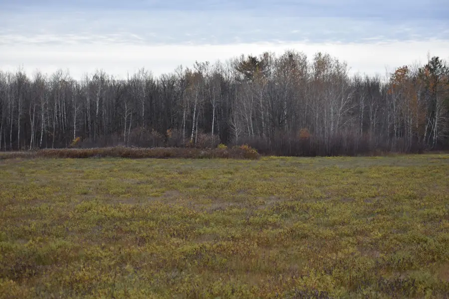 TBD 32nd Street Sw, Pine River, MN 56474 - #2