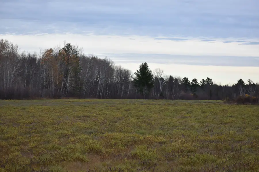 TBD 32nd Street Sw, Pine River, MN 56474 - #3