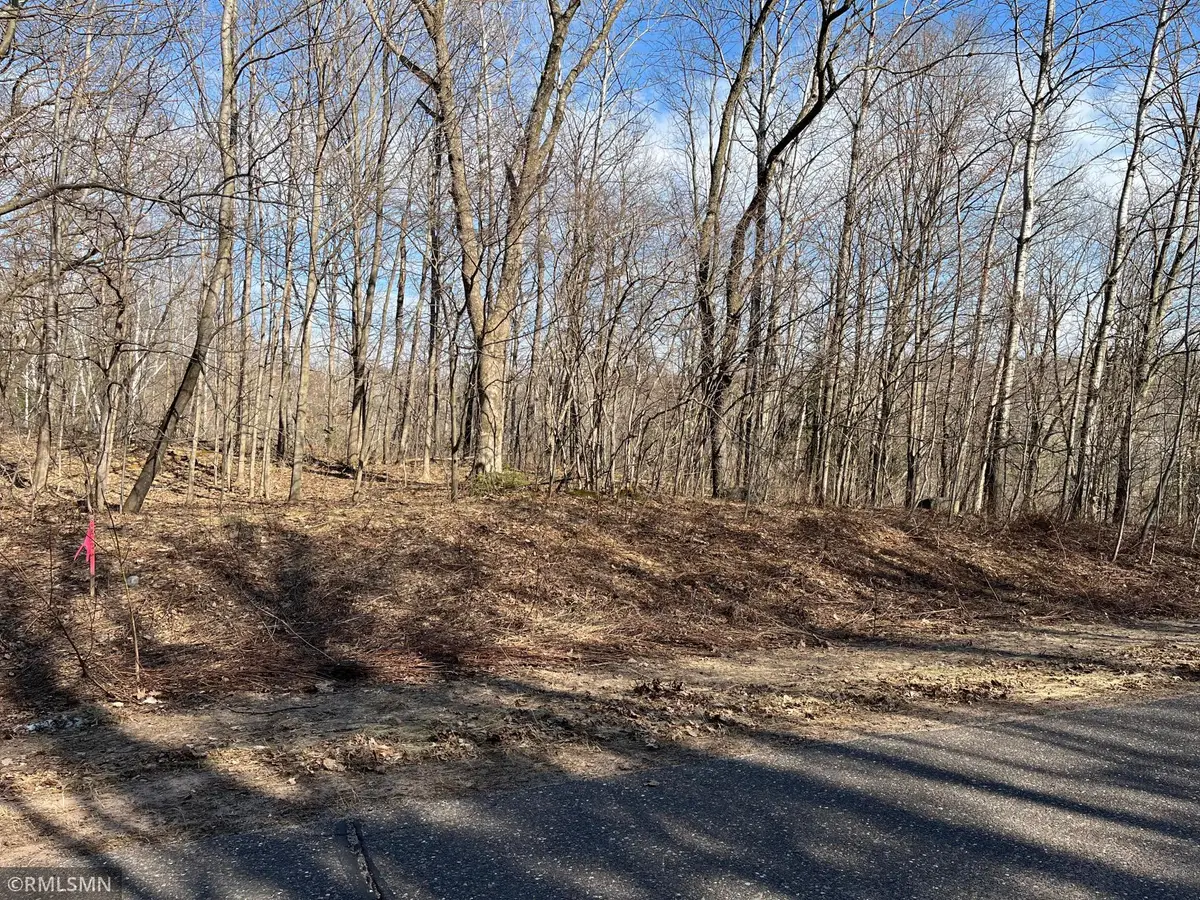 LOT 1 Wilderness Hills Lane, Luck, WI 54853 - #1
